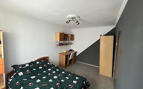 Apartament 2 Camere Curtea De Arges